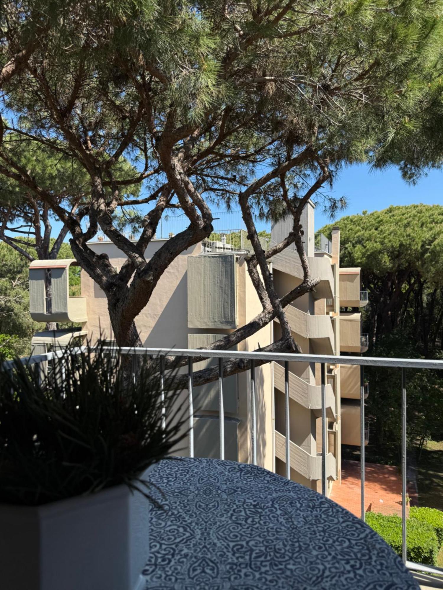 La Terrazza Del Pino Apartamento Torre do Lago Puccini Exterior foto